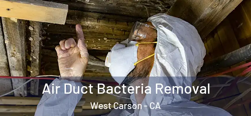  Air Duct Bacteria Removal West Carson - CA