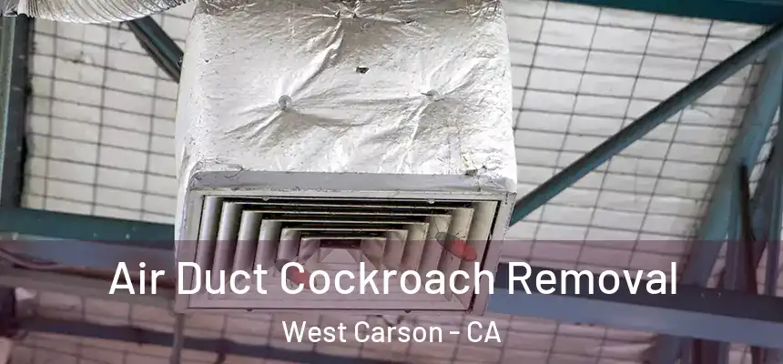 Air Duct Cockroach Removal West Carson - CA