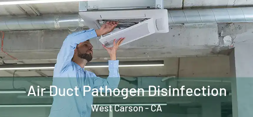  Air Duct Pathogen Disinfection West Carson - CA