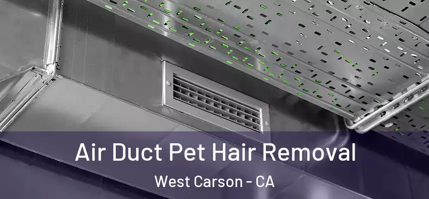  Air Duct Pet Hair Removal West Carson - CA