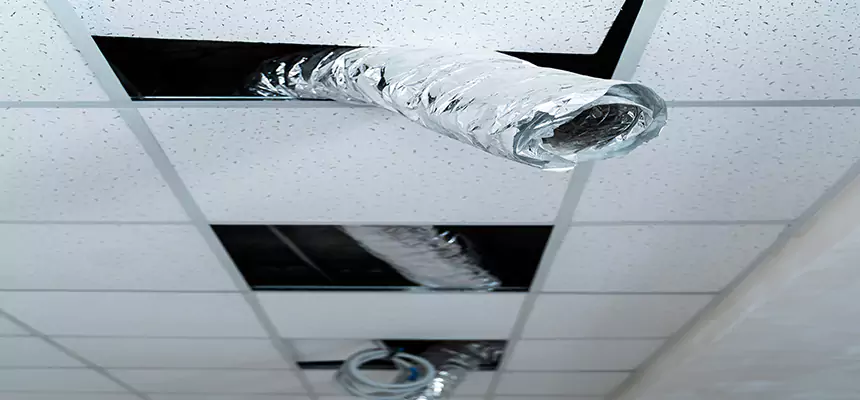 Our Air Duct Pet Hair Removal Services in West Carson, CA