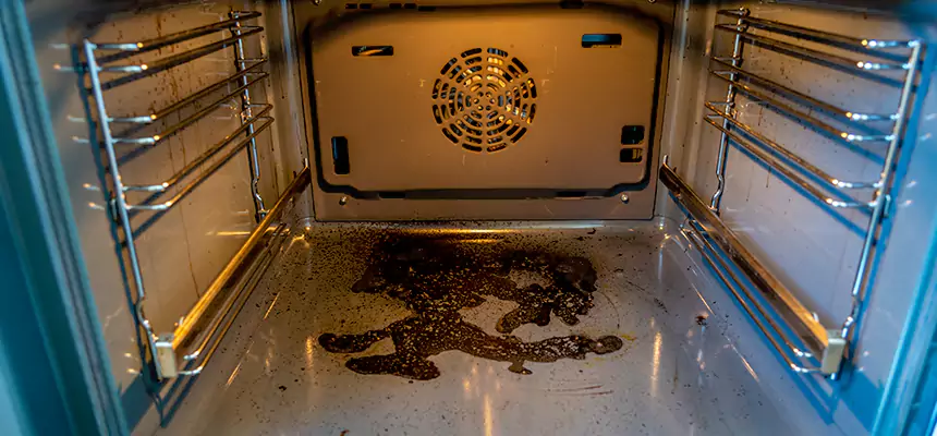 Our Dryer Vent Mold Cleaning Services in West Carson, CA