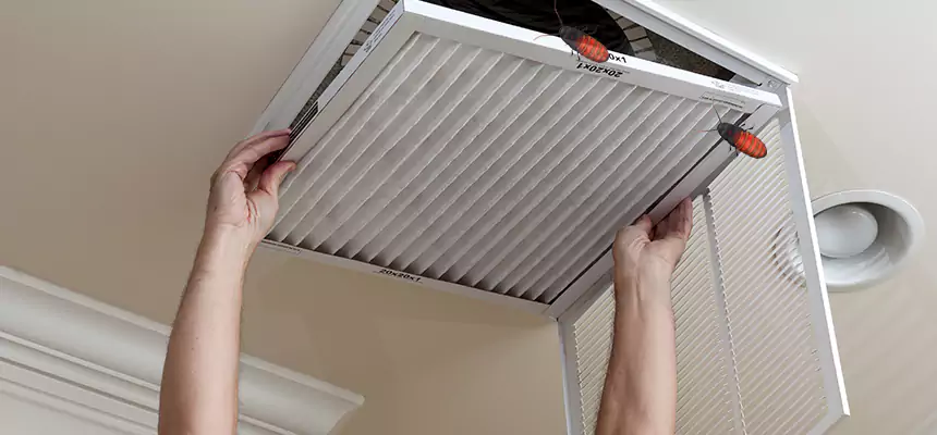 Our Insect Removal from Air Ducts Services in West Carson, CA