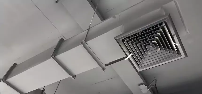 Our Rodent Droppings In Vents Services in West Carson, CA