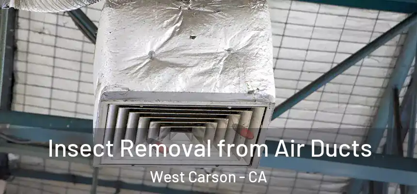  Insect Removal from Air Ducts West Carson - CA