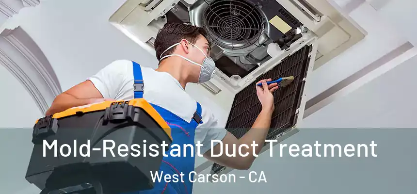  Mold-Resistant Duct Treatment West Carson - CA