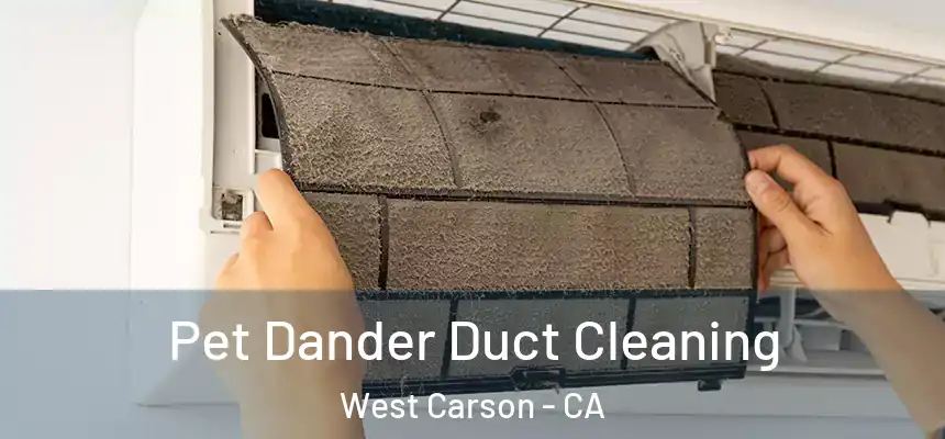 Pet Dander Duct Cleaning West Carson - CA