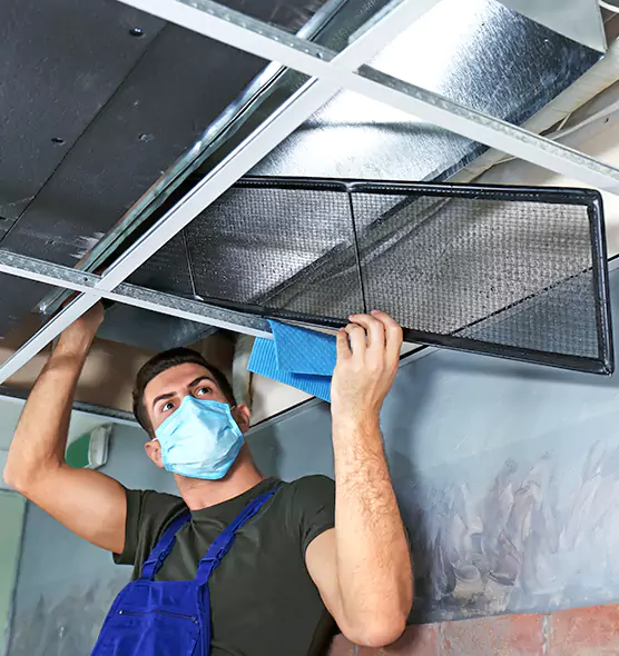 About Air Duct Bacteria Removal in West Carson