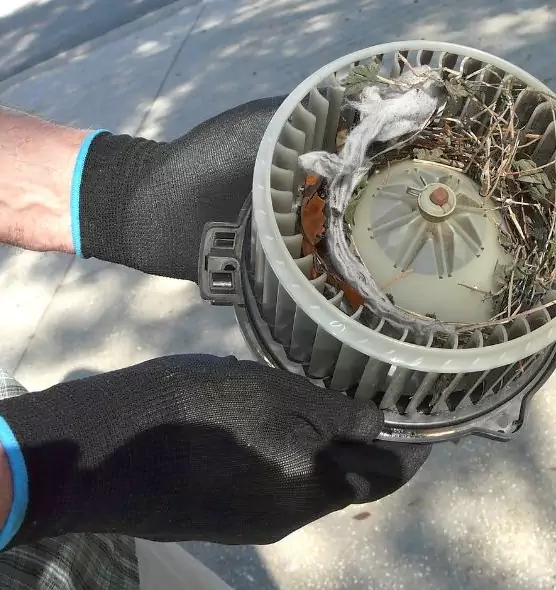 About Air Duct Mice Removal in West Carson, CA