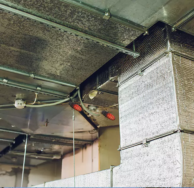 Why Homeowners & Businesses Trust Us in West Carson, CA?