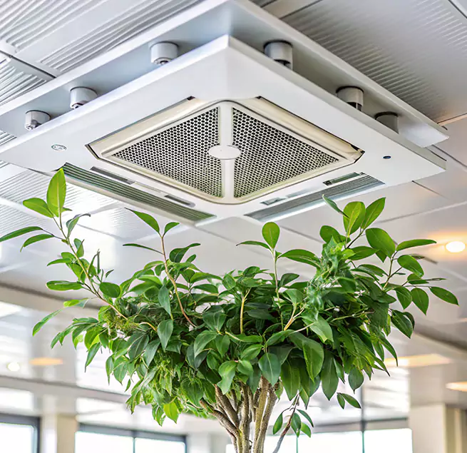 Why Homeowners & Businesses Trust Us in West Carson, CA?